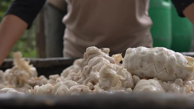 Pepas de cacao