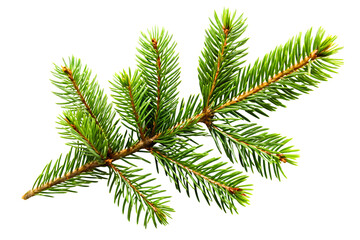 Christmas foliage design with tree leaves, perfect for festive projects.