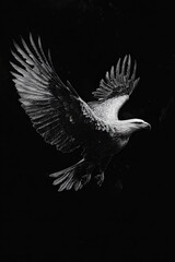 Fototapeta premium Eagle logo for tattoo in white ink with spread wings, placed on a jet black canvas.