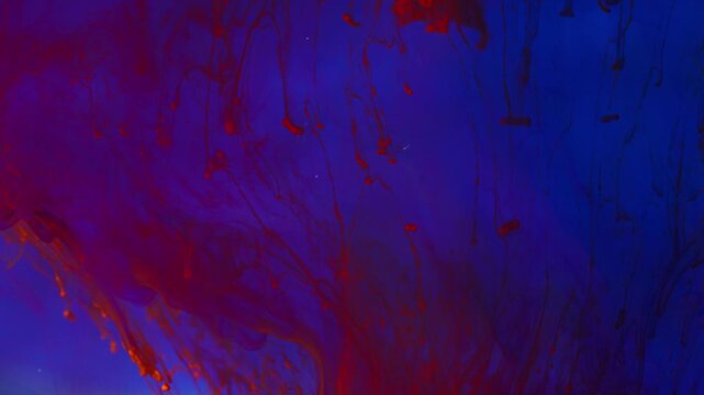Orange ink falls and mixes with blue ink in water. Abstract background