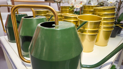 Green watering cans and gold pots on display signify gardening and home decor concepts around...