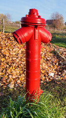 A vibrant red fire hydrant stands amidst autumn leaves, symbolizing preparedness and safety in...