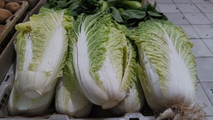 fresh cabbage in the market