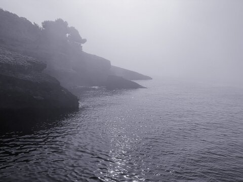 Morning fog mist over sea and rocky coast.