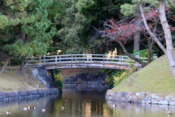 都心散歩　浜離宮紅葉の頃
