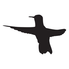Hummingbird Silhouette Vector Illustration
