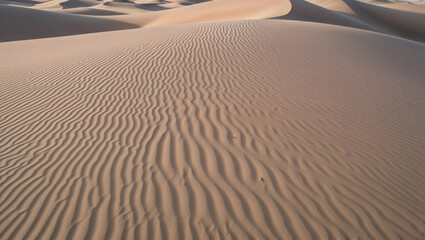 Naklejka premium Sprawling sand dunes with graceful patterns and soft ripples.