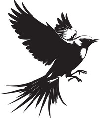 Obraz premium Black Bird Silhouette Flying Illustration