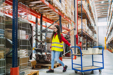 Warehouse worker pushing trolley in logistics center