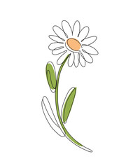 Single line art of daisy flower vector art illustration