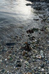 Beautiful Landscape with sea, water, and rocks in South Korea