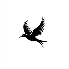 Obraz premium Silhouette of a bird in flight.