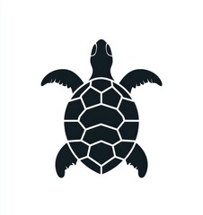 Obraz premium Silhouette of a turtle, top view, detailed shell and flippers.
