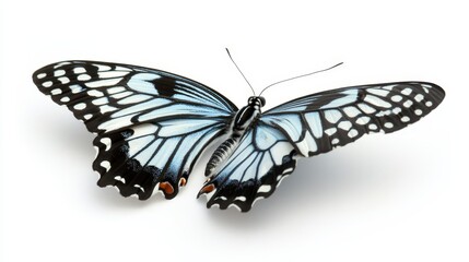  a blue and black butterfly on a white background Its wings are spread out, revealing its intricate patterns of black and white Its antennae are long and thin, and