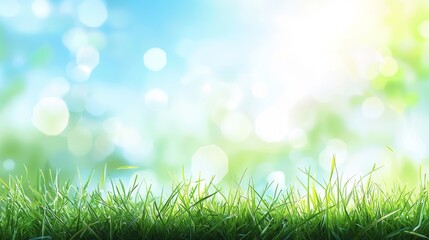 Obraz premium a lush green grass field with a bright blue sky in the background, creating a beautiful and peaceful atmosphere