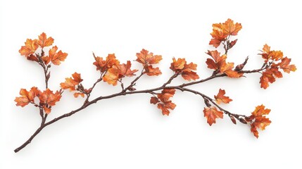 Obraz premium a branch with orange leaves on a white background The leaves are a vibrant orange color, and the branch is a deep brown The contrast between the two colors create