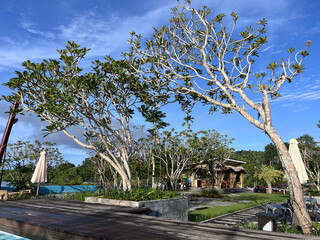 Obraz premium Outdoor cafe on the beach during sunny day 