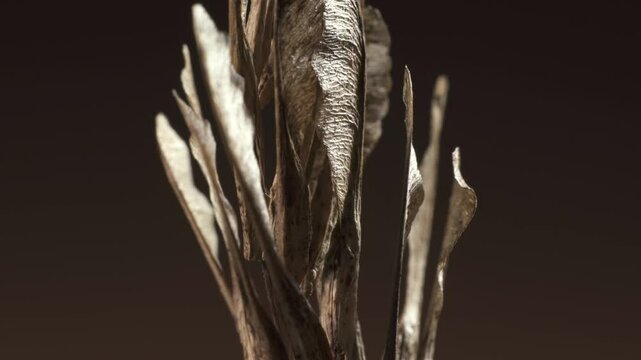 Acer negundo seeds. Complex surface texture. Macro shot.