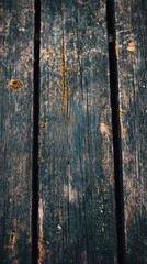 Fototapeta premium Vintage dark wooden planks with moss stains in natural setting