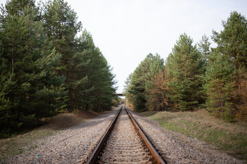 Fototapeta premium Railway along the forest.