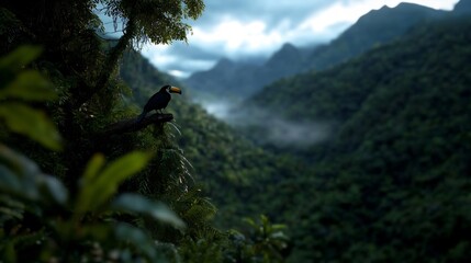 Toucan on Branch Overlooking Lush Green Mountain Valley