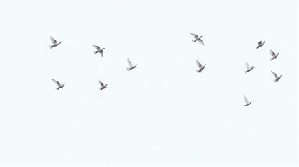 birds in flight