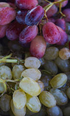 Red and White grapes are washed with water in the tank