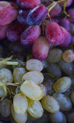 Red and White grapes are washed with water in the tank