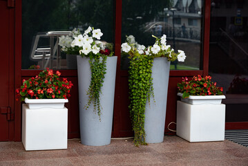 Colorful flower pots on outdoor steps enhancing patio decor.
