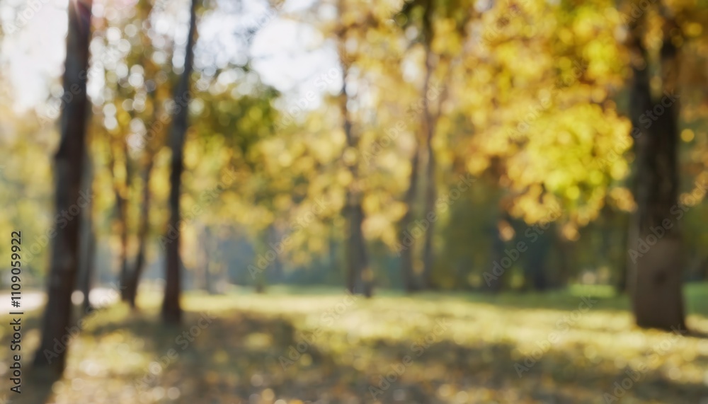 Aufkleber Serene Autumn Forest Scene Capturing Sunlit Yellow Leaves in Sharp Focus with Soft Blurred Background, Ideal for Nature Blogs, Meditation Themes, or Seasonal Marketing Concepts
