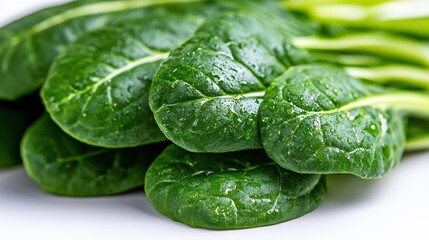 Lush green spinach leaves captured with water droplets highlighting the freshness and natural beauty of this nutritious leafy vegetable, symbolizing health and vitality.