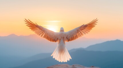 Fototapeta premium Serene nature photography majestic bird in flight at sunrise embodying freedom