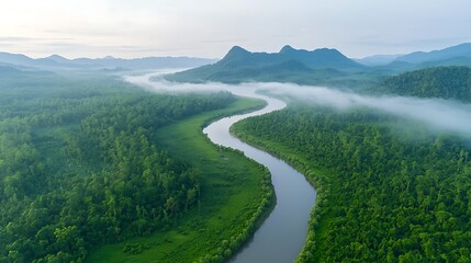 Fototapeta premium Majestic river meandering through lush forest aerial view nature landscape tranquil environment