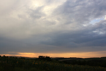 Sunset Over the Field: Nature's Golden Hour