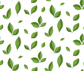 green leaves seamless pattern. Hand drawn graphic line vector illustration. Design for vintage packaging. Engraved style