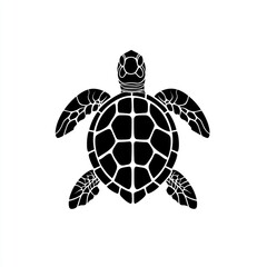 Obraz premium Silhouette of a sea turtle, outlined and in black, against a white background.