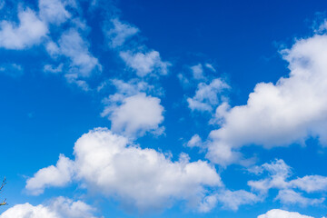 Fototapeta premium 秋の日の青空と雲05