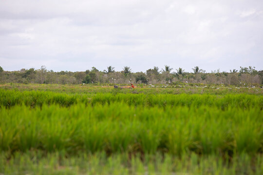 A farmer is working on his plowed land, carrying out his work as a farmer.