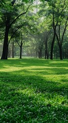 Obraz premium Tranquil forest scene: lush greenery, tall trees, sunny pathway, peaceful and secluded ambiance. Individual walking adds to the serene atmosphere.