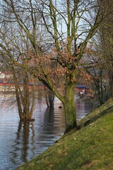 Spring river spillage, flooding embankment.