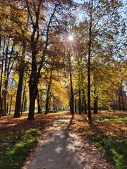 The wonderful colours of Autumn
