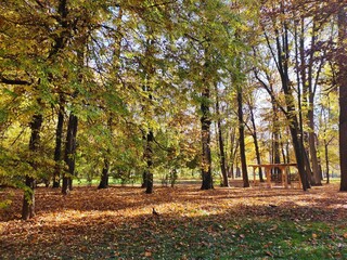 The wonderful colours of Autumn