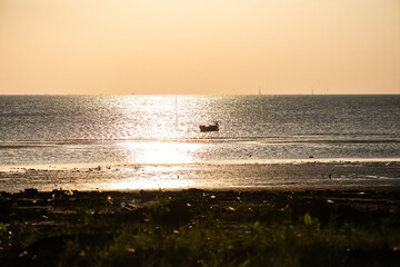 Fishermen are looking for shells on the beach