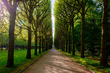 Parc de Sceaux, France