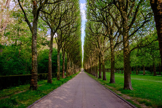 Parc de Sceaux, France