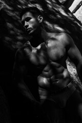 Naklejka premium A handsome muscular man with a naked torso poses on a rocky beach near the sea.