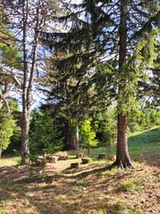 Beautiful Nature Photos