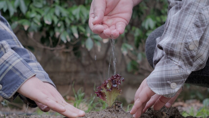 Boy planting a new tree, concept Save the Earth, save the world, save planet, ecology concept.photo