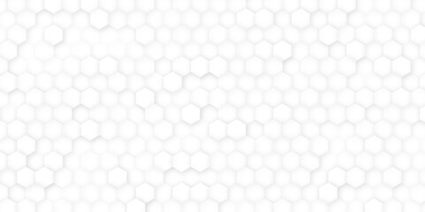 Hexagon Beehive honeycomb pattern wall black and white, Hexagon isolated clipping path horizontal for design honeycomb texture for pattern