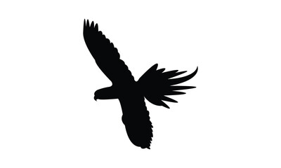 Obraz premium Flying Parakeet Bird Silhouette Design And Vector Illustration. 